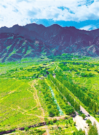     綠色——賀蘭山，寧夏的父親山。隨著近年來賀蘭山生態(tài)保衛(wèi)戰(zhàn)的打響，賀蘭山生態(tài)逐步恢復(fù)，是寧夏踐行“綠水青山就是金山銀山”理念的生動(dòng)寫照。     本報(bào)記者 馬楠 攝